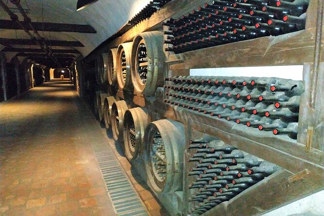 Kakheti Wine Tour With 20+ Wine Tastings & Qvevri Masterclass - Expectations and Participation Requirements