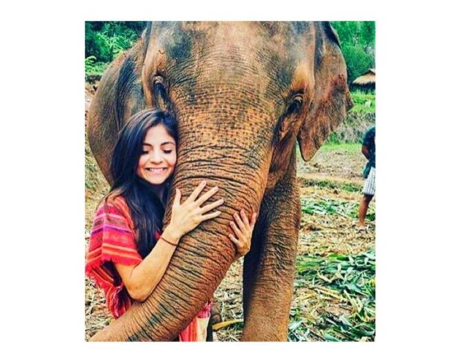 Kandy to Pinnawala Day Tour By Local Tuk Tuk Expedition - Elephant Interaction