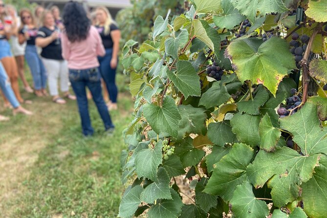 Kansas City Brewery, Winery, and Distillery Tour - Special Occasion Ideas
