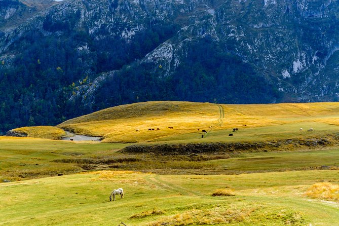 Kapetanovo Lake Hiking - Reviews and Testimonials