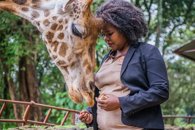 Karen Blixen Museum & Giraffe Centre Half Day Tour - Engaging Interactions