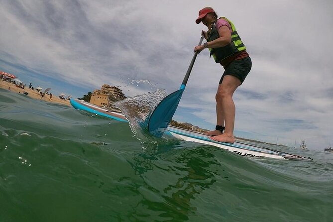 Kayak and Snorkel Tour at Pelican Rock - Transportation Options