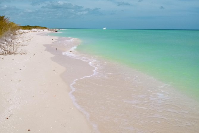 Kayak Through Mangroves to Secret Beach - Traveler Experiences