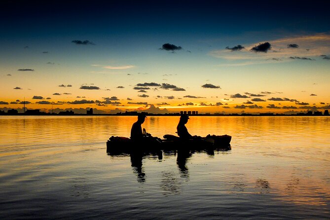 Kayak Tour at Sunset in Cancun - Praise for Guides and Experience