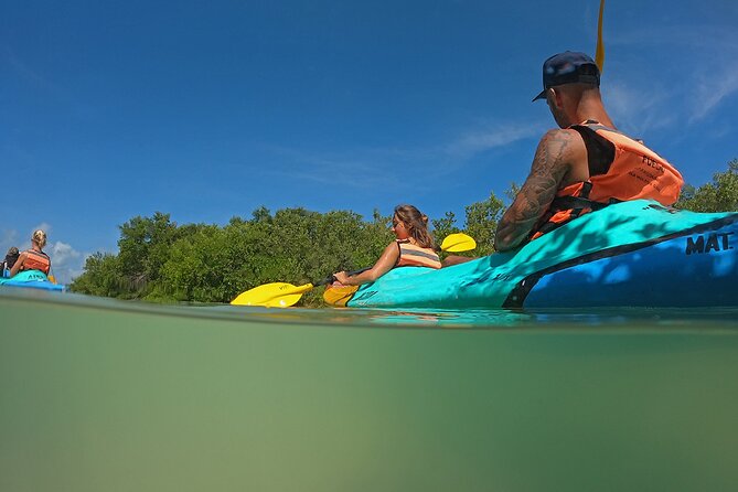 Kayaking Tour Through the Mangroves in Isla Holbox - Personalized Experience