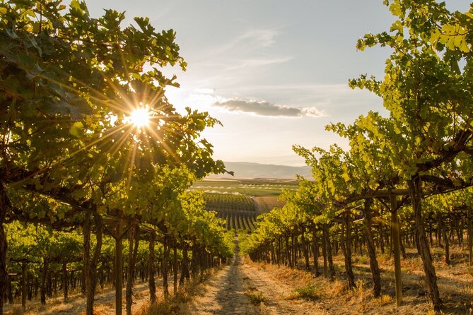 Kelowna Bachelorette Wine Tour Full Day Guided With 5 Wineries - Cancellation and Pricing