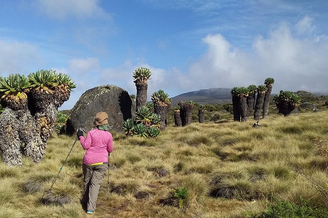 Kilimanjaro Summit Challenge: 6 Days via Marangu Route - Booking and Cancellation Policy