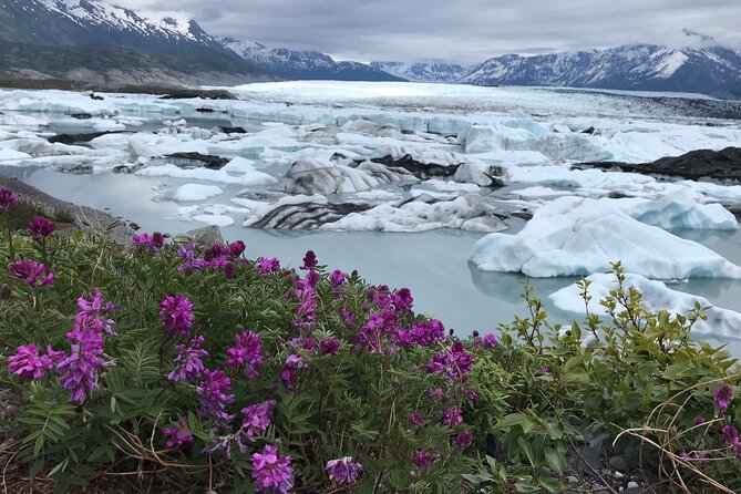 Knik Glacier Adventure 4x4 Overland Safari and Jet Boat Adventure - Praise From Guests