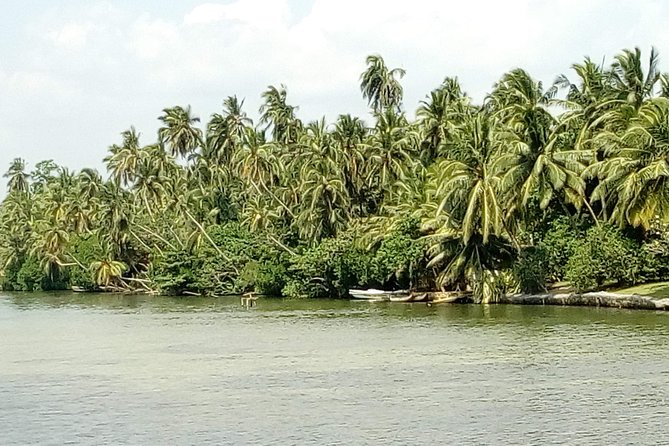 Koggala Lake Boat Tour - Customer Reviews and Feedback