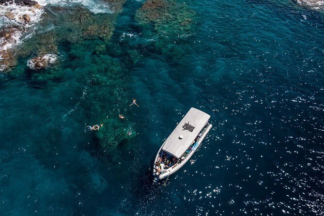 Kona: 3 Hour Dolphin Watch, Reef Snorkel, & BBQ Lunch - Customer Reviews and Feedback