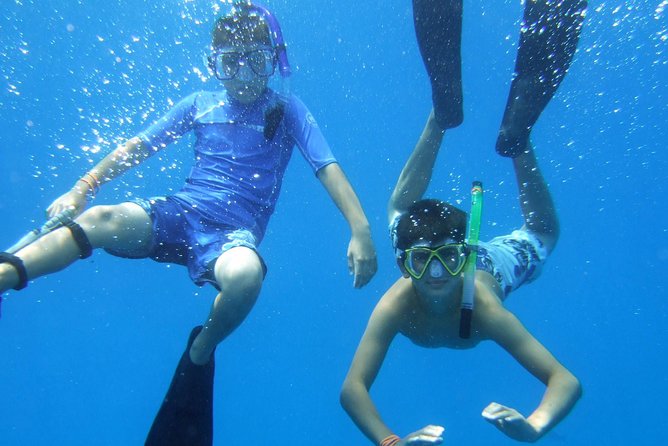 Kona Shore Excursion: Wild Dolphin Reefs Snorkel and Sea Caves - Booking Details