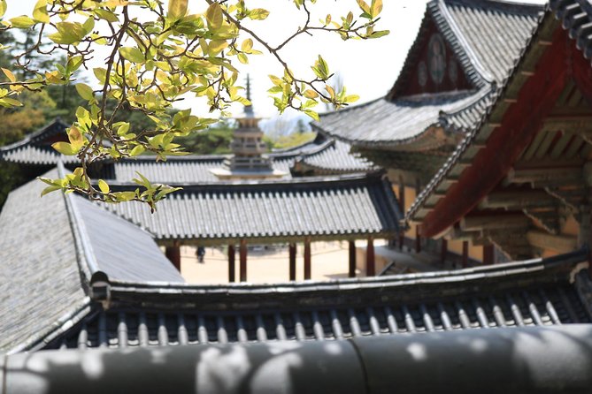 Korean UNESCO World Heritage Tour Including Gyeongju, Andong and Daegu(2n3d) - Customer Reviews