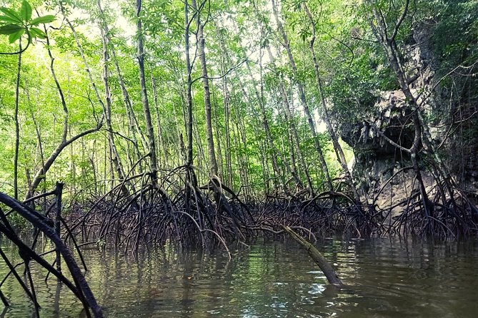 Krabi: Kayaking Tour at Ban Bor Thor Ancient Cave & Mangroves - Pricing and Cancellation Policy