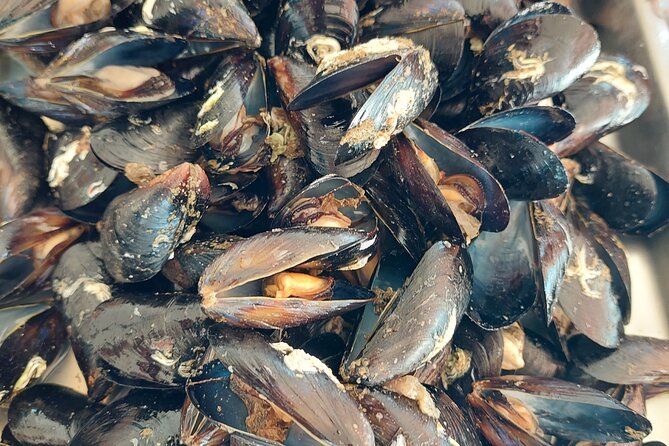 Krka River Small-Group Half-Day Kayak and Mussel Tasting Tour  - Dalmatia - Mussel Tasting