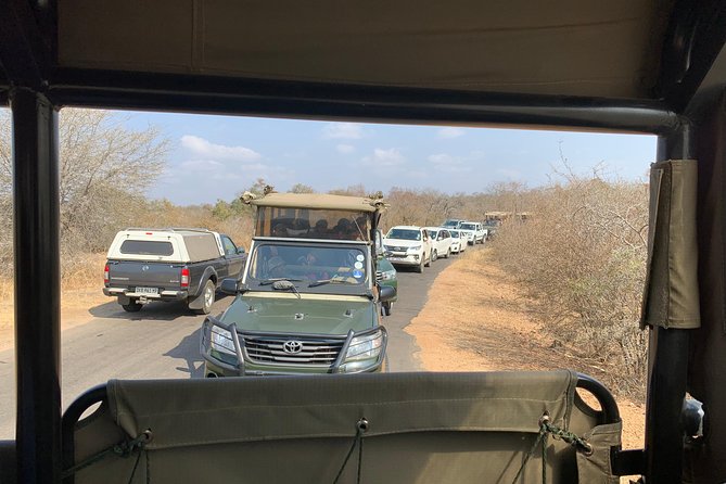 Kruger National Park Full Day Big 5 Safari Tour From Hazyview - Traveler Reviews and Ratings