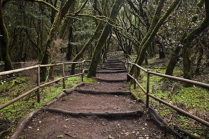 La Gomera Island Tour - Booking and Contact