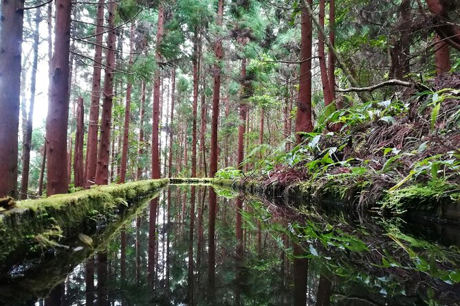 Lagoa Do Fogo Walking Tour With Lunch From Ponta Delgada - Exceptional Reviews and Competitive Pricing
