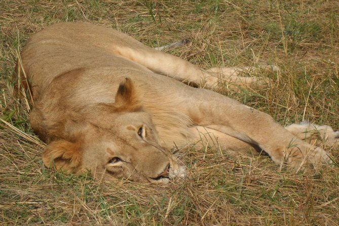 Lake Nakuru National Park Day Tour Via Lake Naivasha - Booking and Cancellation Policy