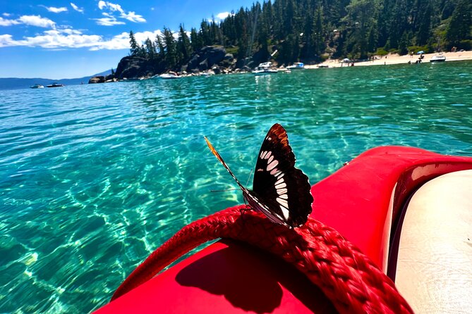 Lake Tahoe Private Boat Charter With Captain - Health and Accessibility Considerations