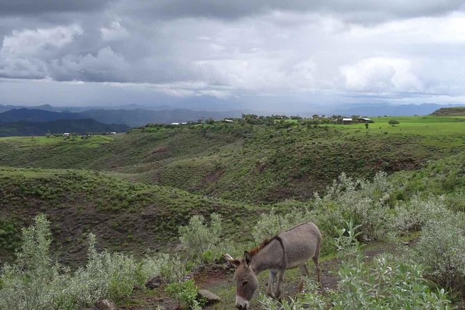 Lalibela Churches Guided Tour - Frequently Asked Questions