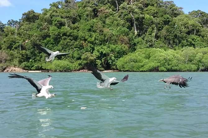 Langkawi Island Hopping Tour With Private Boat & Pickup - Pricing and Payment Options