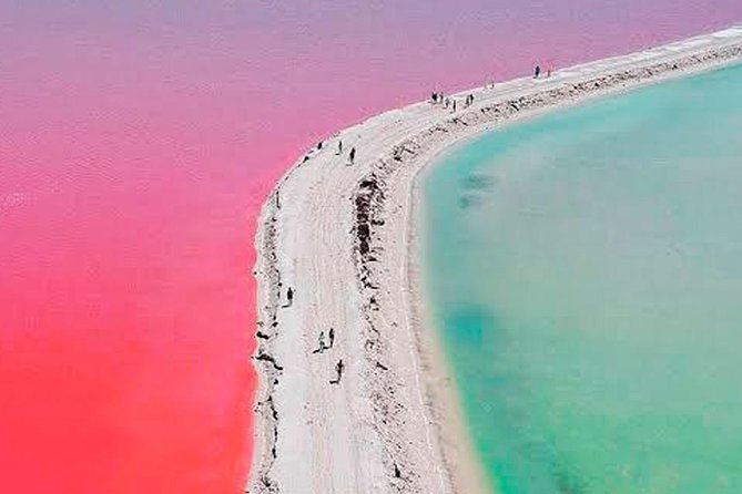 Las Coloradas & Rio Lagartos Tour From Cancun - Tour Pricing
