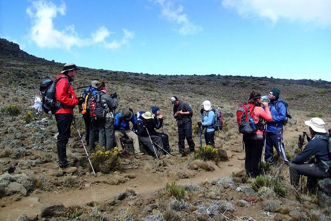 Lemosho Route 8 Days 7 Nights/Kilimanjaro Climb - Health and Safety Tips