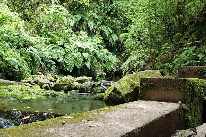 Levada Do Rei - Ribeiro Bonito (Full Day Walk) - Levada Trail Hike