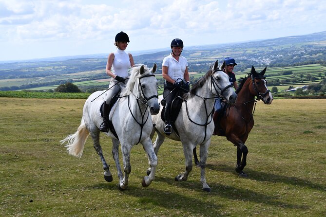 Liberty Trails - Dartmoor Horseback Adventures - Review Highlights and Ratings