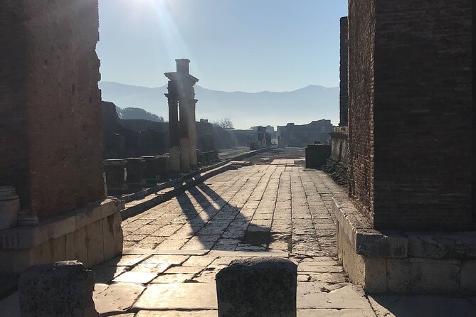 Life and Death of the Roman City of Pompeii With a Local Guide. Private Tour - Preserved Artifacts and Artworks