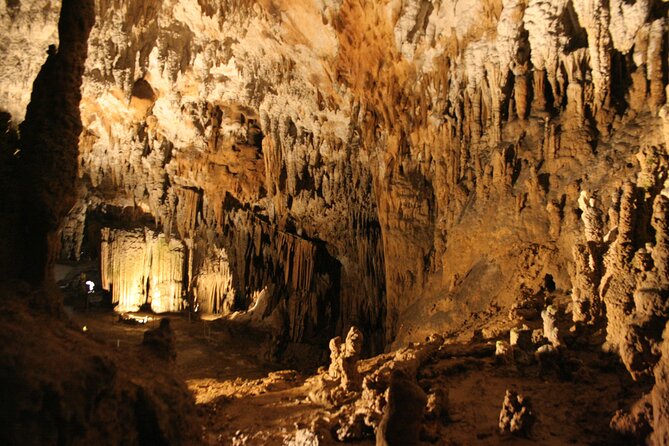 Lipica Stud Farm and Skocjan Caves From Koper - Meeting and Pickup Options