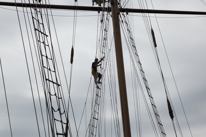 Lobster and Beer Sail in New York City - Customer Feedback and Ratings