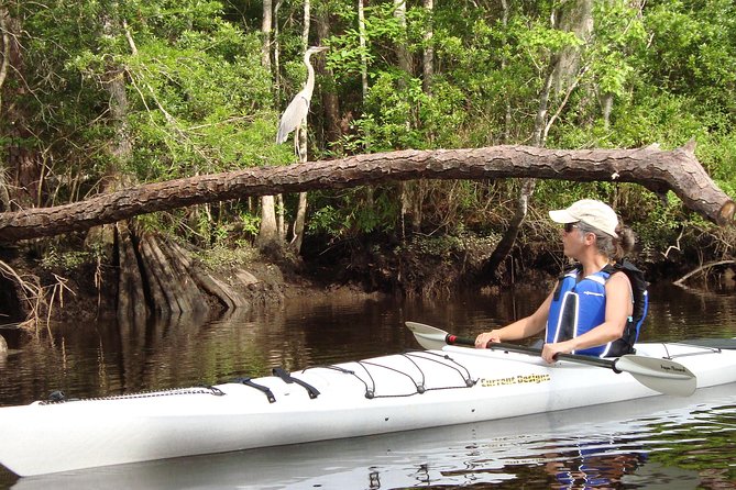 Lofton Creek Kayaking Trip With Professional Guide - Memorable Nature Experience