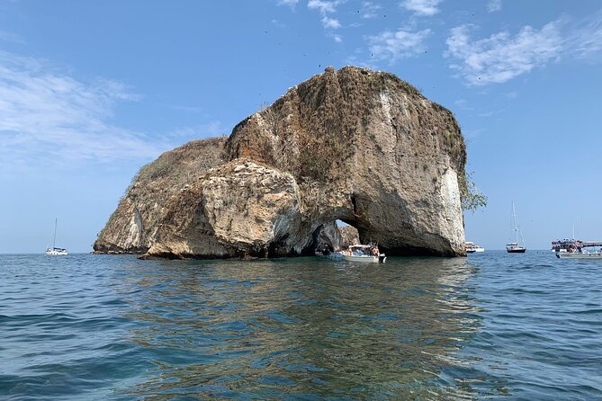 Los Arcos Snorkeling Puerto Vallarta - Observing Marine Wildlife
