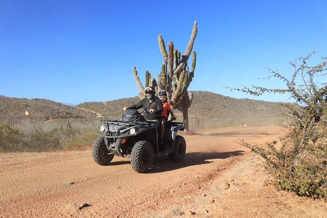 Los Cabos - COMBO Horseback Riding & ATV Tour - Convenient Hotel Pickup and Drop-off
