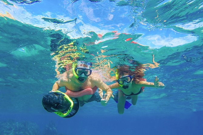 Los Cabos Power Snorkel Adventure, Kayaking and Stand-Up Paddle - Gear and Equipment