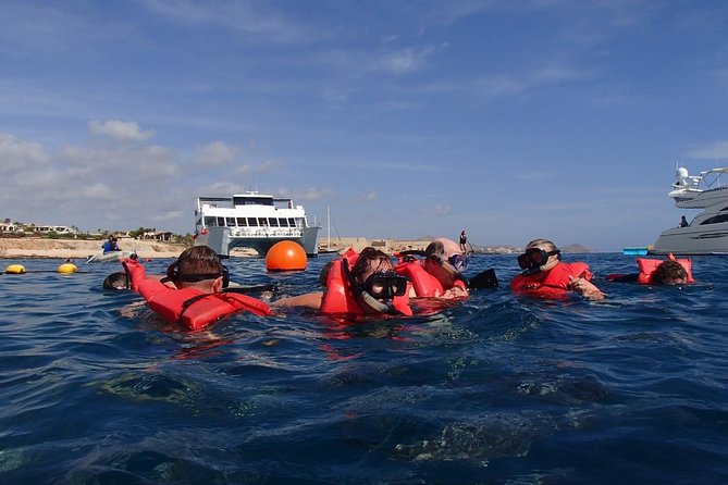 Los Cabos Reef Snorkeling Cruise With Lunch and Open Bar - Tour Capacity and Cancellation Policy