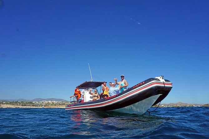Los Cabos Snorkeling Tour by Speed Boat With Photos Included - Small Group Personalized Attention