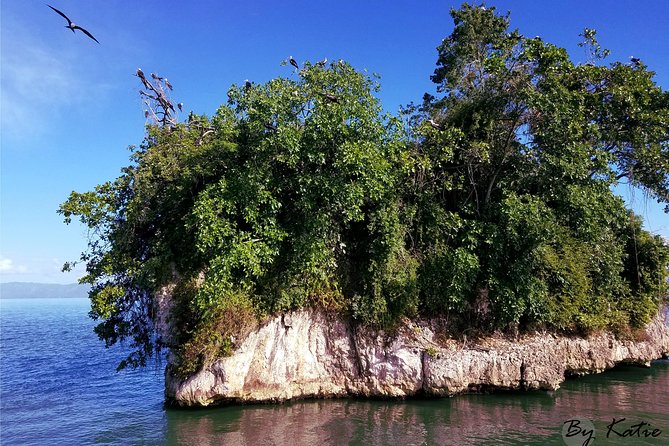 Los Haitises & Cayo Levantado (Lunch Included, From Samana in Catamaran or Boat) - Duration and Timing