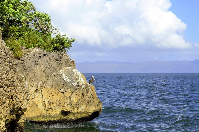 Los Haitises National Park Hiking + Kayaking - What to Expect on the Tour