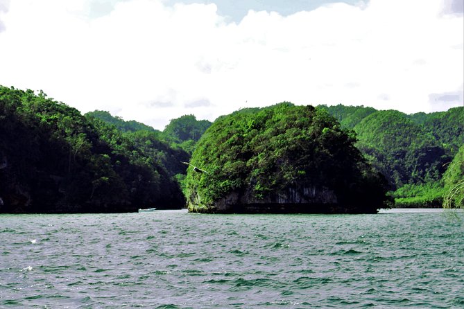 Los Haitises Private Boat Tour - What to Expect on the Tour