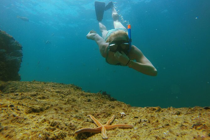 Luxury 42 Yacht Tour in Cabo for Snorkeling and Sunset - Exceptional Customer Reviews