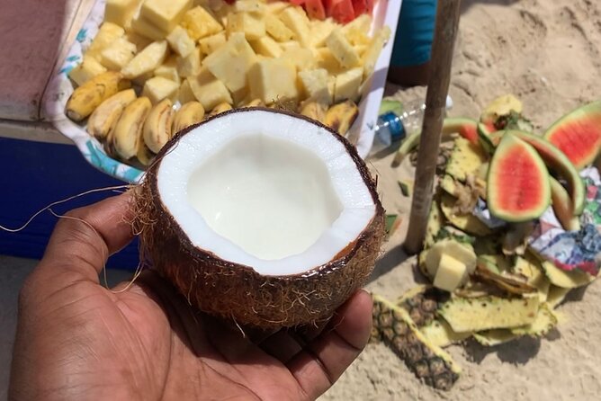 Luxury Swimming With DOLPHINS in MNEMBA and LUNCH - Mouthwatering Lunch Provided