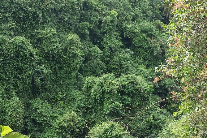 Machame Route - Booking and Cancellation Policy