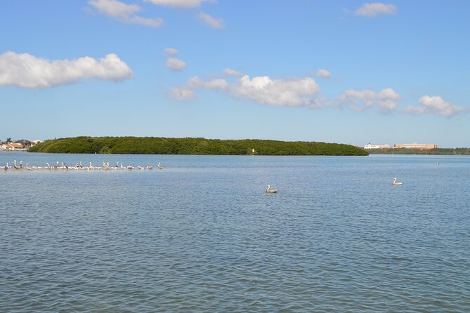 Madeira Beach - Shell Key - Dolphins - Half Day Private Boat Tour - Booking Information