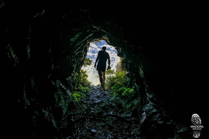 Madeira: Laurisilva Private or Small-Group Running Tour  - Funchal - Scenic Mountain Vistas
