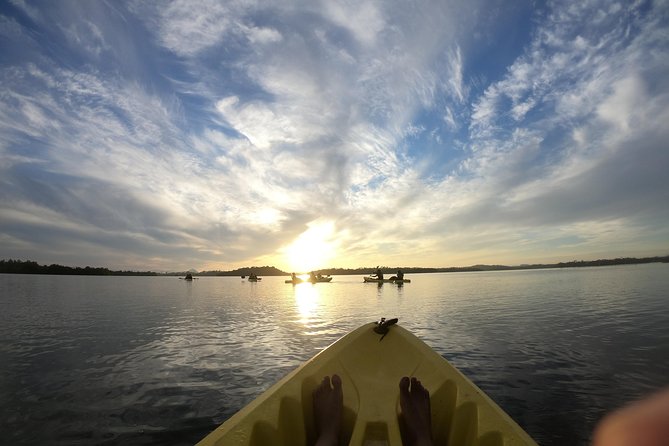 Madu River Sunrise Mangrove Kayaking From Bentota - Health and Safety Considerations