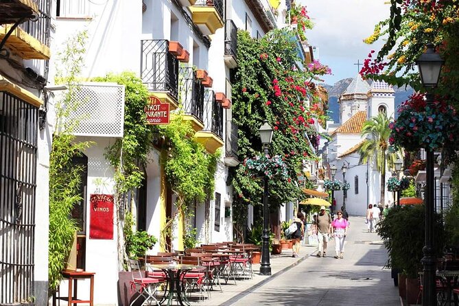 Malaga Private Shore Excursion to Marbella and Puerto Banus - Experience Highlights