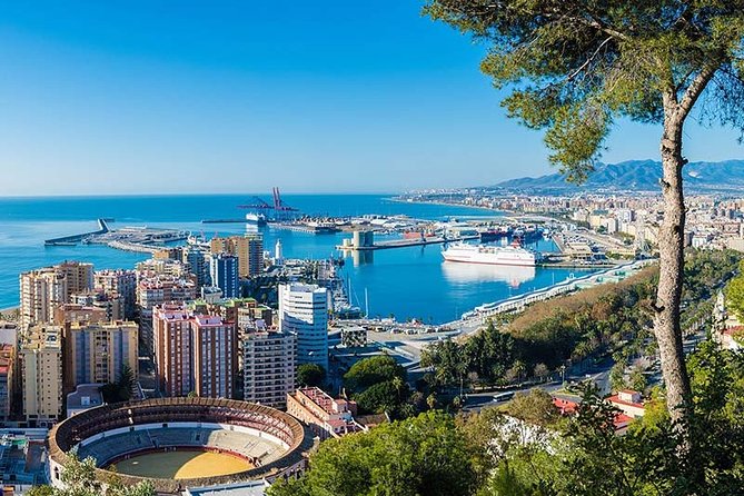 Malaga Private Tours and Excursions From Seville for up to 8 Persons - Customized Seville to Malaga Excursions