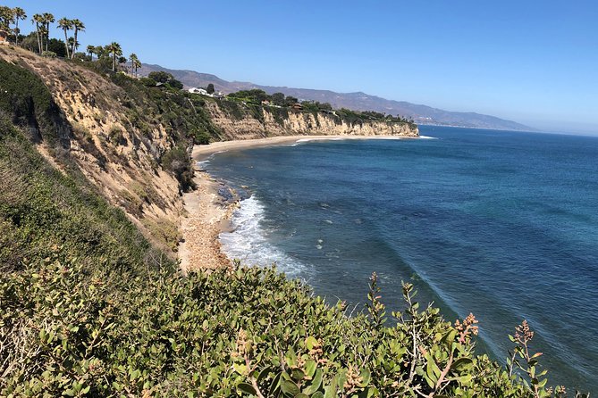 Malibu Beach Surf Tour in a Vintage VW Van - Tips for an Amazing Surfing Experience